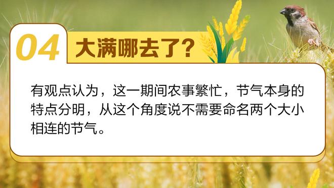 约基奇：小波特每场都能用不同方式帮助球队 今日他抢了12篮板